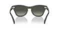 Ray-Ban RB0707S - Güneş Gözlükleri