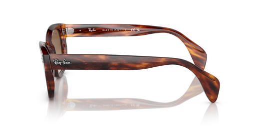 Ray-Ban RB0880S - Güneş Gözlükleri