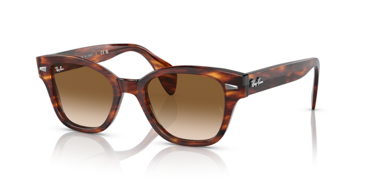Ray-Ban RB0880S - 954/51 / 49 - Güneş Gözlükleri