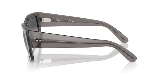 Ray Ban RB0947S 667571 56 Güneş Gözlükleri