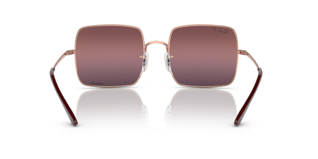 Ray-Ban RB1971 - Güneş Gözlükleri