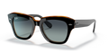 Ray-Ban RB2186 - 132241 / 49 - Güneş Gözlükleri