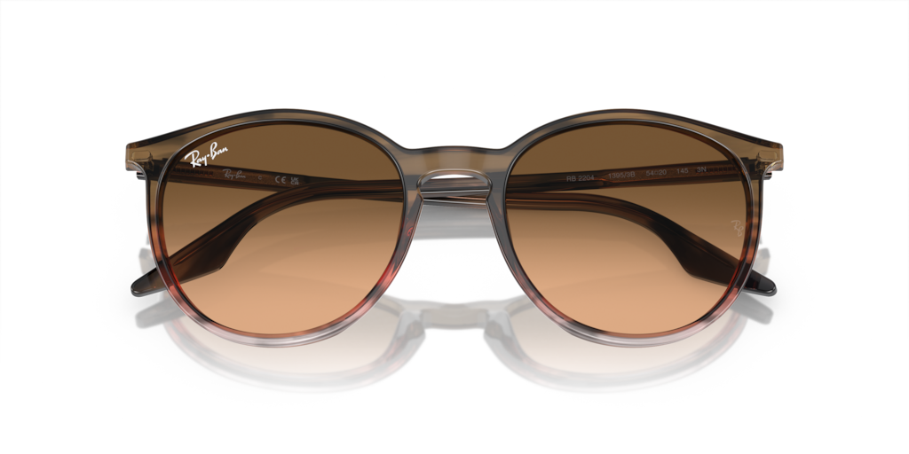 Ray-Ban RB2204 13953B - Güneş Gözlükleri
