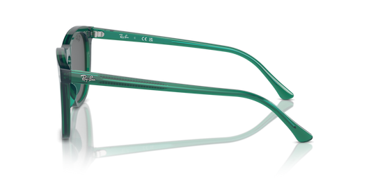 Ray Ban RB2210 6615B1 53 Güneş Gözlükleri