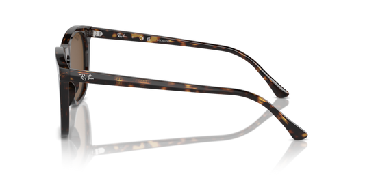 Ray-Ban RB2210 902/57 - 53 - Güneş Gözlükleri