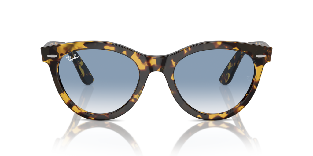 Ray Ban RB2241 13323F Güneş Gözlükleri