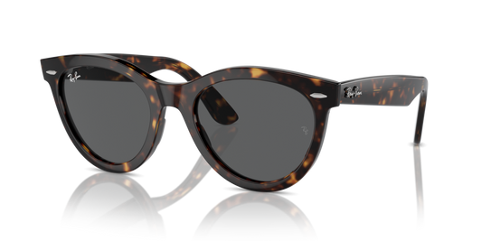Ray-Ban RB2241 902/B1 - 51 - Güneş Gözlükleri