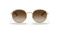 Ray-Ban RB3681 - Güneş Gözlükleri
