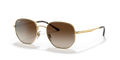 Ray-Ban RB3682 - 001/13 / 51 - Güneş Gözlükleri