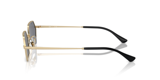 Ray Ban RB3728 92136V Güneş Gözlükleri