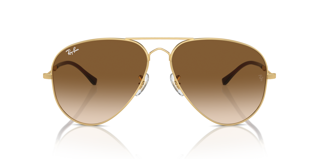 Ray Ban RB3825 001/51 Güneş Gözlükleri