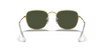 Ray-Ban RB3857 - Güneş Gözlükleri