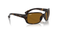 Ray-Ban RB4068 - Güneş Gözlükleri