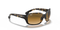 Ray-Ban RB4068 - Güneş Gözlükleri