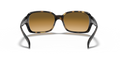 Ray-Ban RB4068 - Güneş Gözlükleri