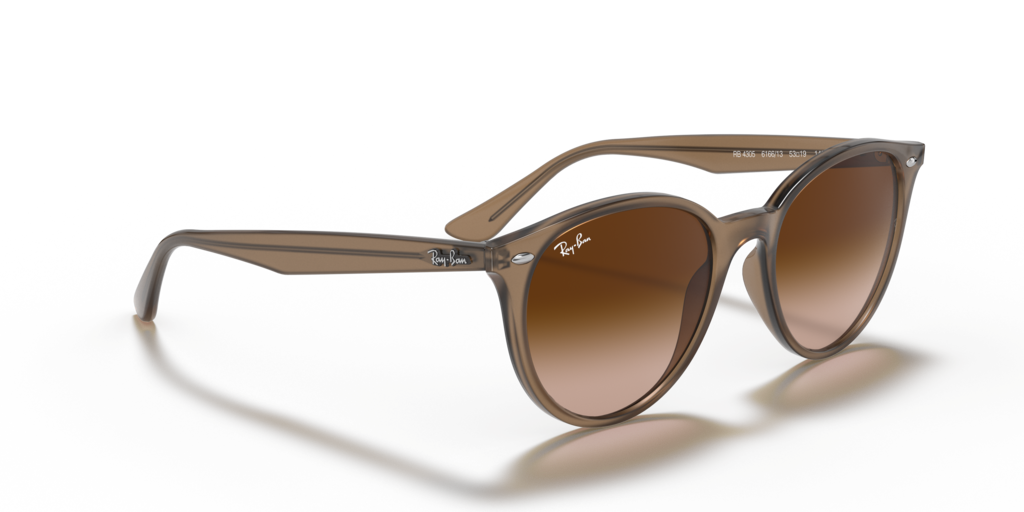 Ray-Ban RB4305 - Güneş Gözlükleri