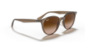 Ray-Ban RB4305 - Güneş Gözlükleri