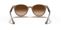 Ray-Ban RB4305 - Güneş Gözlükleri