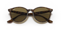 Ray-Ban RB4305 - Güneş Gözlükleri