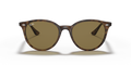 Ray-Ban RB4305 - Güneş Gözlükleri