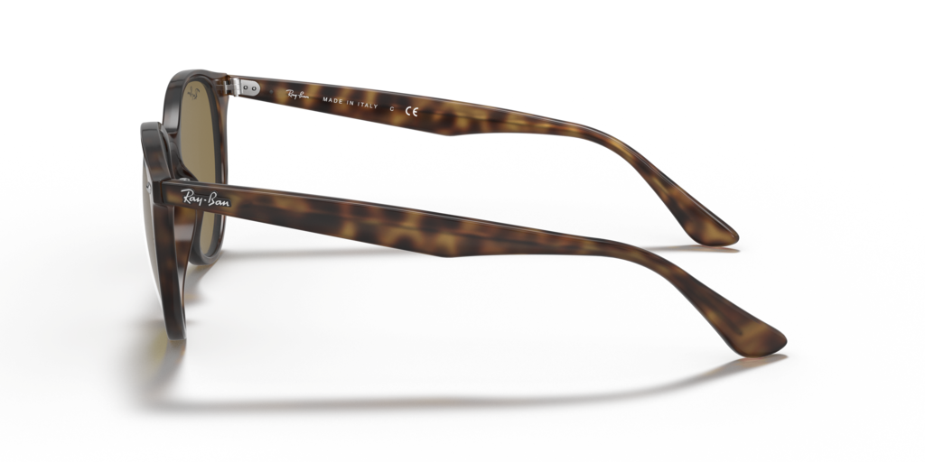 Ray-Ban RB4305 - Güneş Gözlükleri