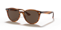 Ray-Ban RB4305 - 820/73 / 53 - Güneş Gözlükleri