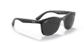 Ray-Ban RB4374 - Güneş Gözlükleri