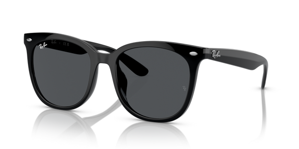 Ray-Ban RB4379D