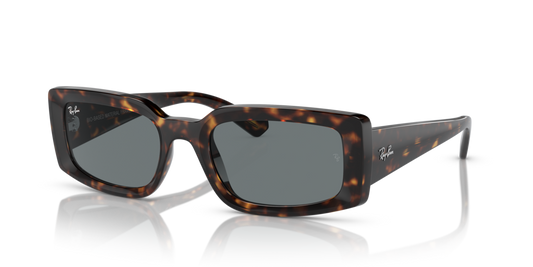 Ray Ban RB4395 135971 54 Güneş Gözlükleri