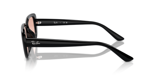 Ray Ban RB4421D 667784 56 Güneş Gözlükleri