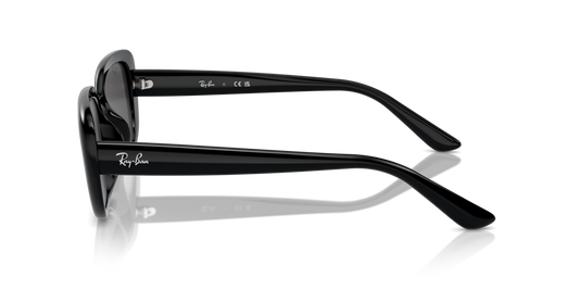 Ray Ban RB4421D 667787 56 Güneş Gözlükleri