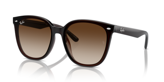 Ray Ban RB4423D 714/13 66 Güneş Gözlükleri