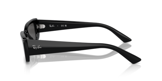 Ray Ban RB4425 667787 54 Güneş Gözlükleri