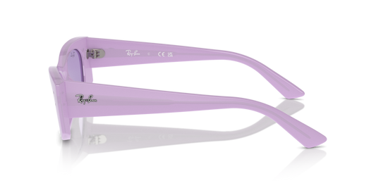 Ray Ban RB4427 67581A 49 Güneş Gözlükleri