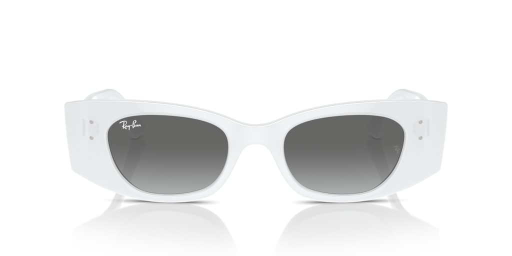 Ray Ban RB4427 675911 49 Güneş Gözlükleri