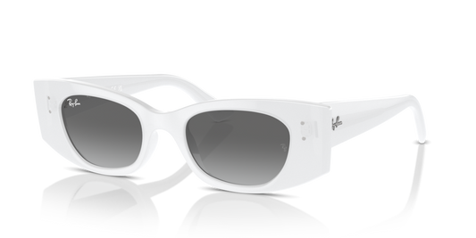 Ray Ban RB4427 675911 49 Güneş Gözlükleri