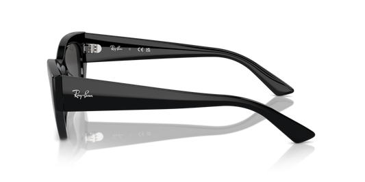 Ray Ban RB4430 667787 Güneş Gözlükleri