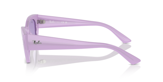 Ray Ban RB4430 67581A Güneş Gözlükleri