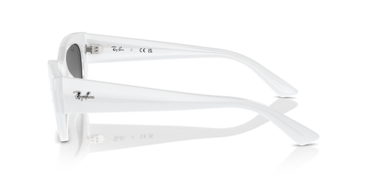 Ray Ban RB4430 675911 49 Güneş Gözlükleri