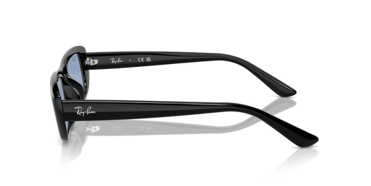 Ray Ban RB4436D 667772 55 Güneş Gözlükleri