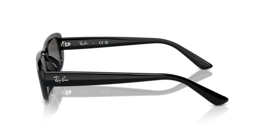 Ray Ban RB4436D 667787 55 Güneş Gözlükleri