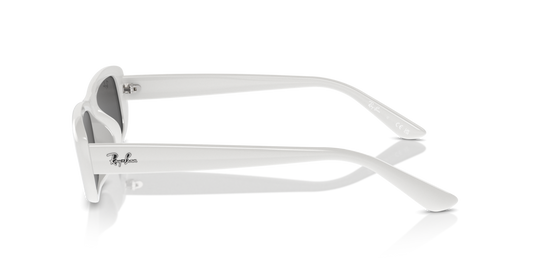 Ray Ban RB4436D 677287 55 Güneş Gözlükleri