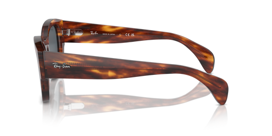 Ray Ban RB7681S 954/R5 52 Güneş Gözlükleri