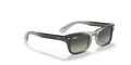 Ray-Ban Junior RJ9083S - Çocuk Güneş Gözlükleri