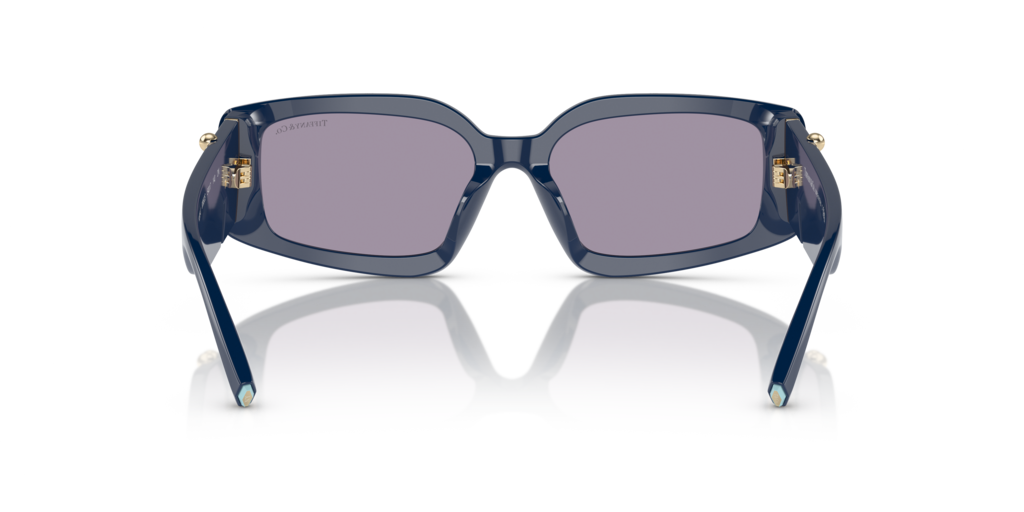 Tiffany TF4208U - Güneş Gözlükleri