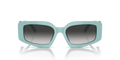Tiffany TF4208U - Güneş Gözlükleri