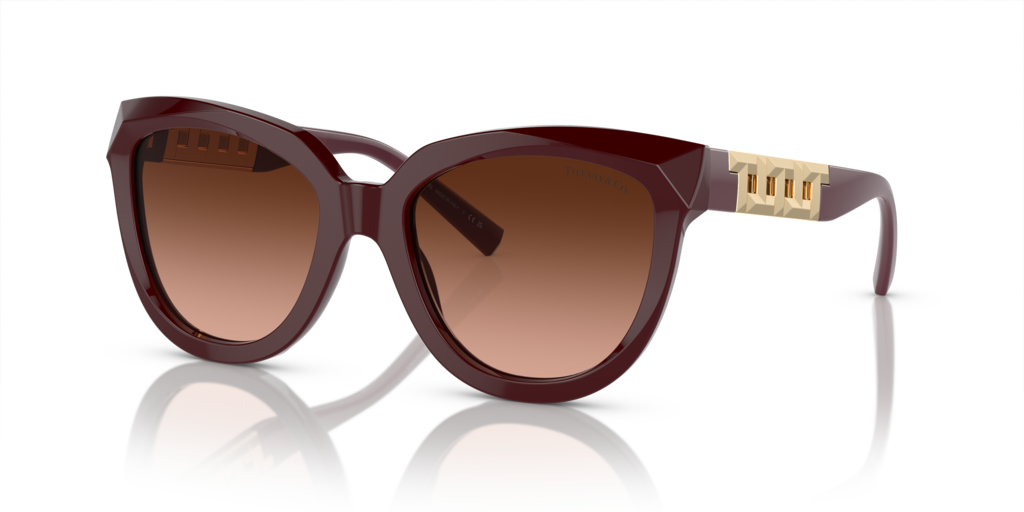 Tiffany TF4215 8015T5 53 Güneş Gözlükleri