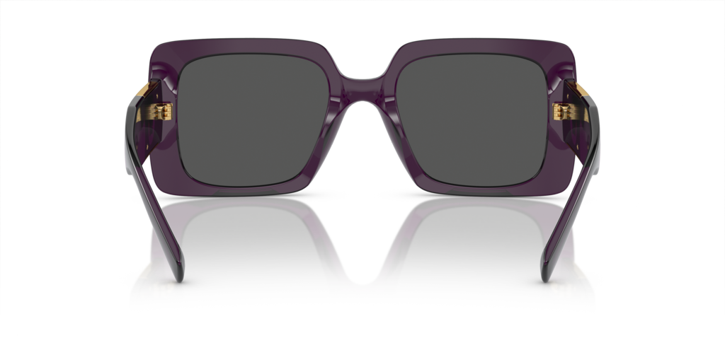 Versace VE4405 - Güneş Gözlükleri