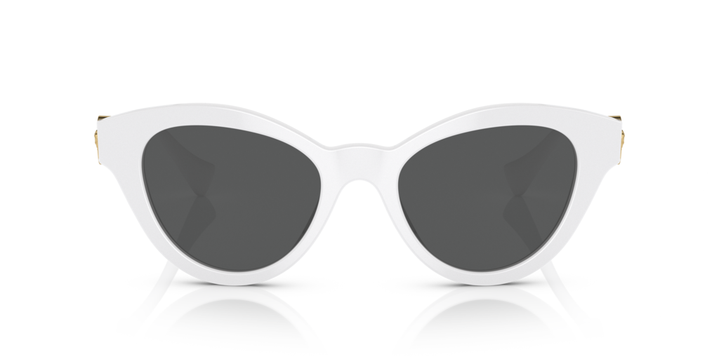Versace VE4435 - 314/87 / 52 - Güneş Gözlükleri