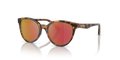 51196Q